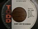 Surf Rock ROBBY & ROBBINS Surfer's Life TODD Garage Rare 45
