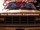 Gin Blossoms New Miserable Experience (Vinyl) 12