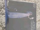 Stevie Nicks 'Bella Donna' VMP Remastered 180g Blue/Black Vinyl LP NEW Sealed