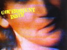 Government Issue The Fun Just Never Ends (Vinyl) 12