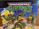 Teenage Mutant Ninja Turtles NES Vinyl Soundtrack Video Game Pizza Variant /500