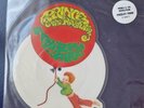 Prince Paisley Park picture disc