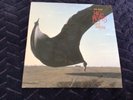 Pink Floyd - High Hopes 7 inch single , clear vinyl