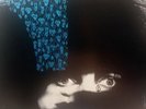 Siouxsie And The Banshees – Dazzle (7 Mins Plus Glamour Mix)    UK EX Vinyl LP85