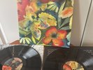 Adrianne Lenker – SONGS AND INSTRUMENTALS - Vinyl 2LP Black - Pre-owned