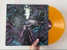 A Day To Remember - Homesick (Hot Topic Exclusive Gold Vinyl)