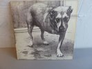 ALICE IN CHAINS-ALICE IN CHAINS/GRUNGE-HOLY GRAIL-FIRST PRESS/DPL-HAMMER