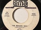Northern Soul - The Dolls - The Reason Why - Loma 45 - rare