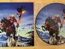 33 LP PICTURE DISC IRON MAIDEN DANCE IN FRANKFURT AUSTRALIA FAN CLUB