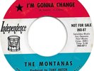 Northern Soul The Montanas-I`m Gonna Change/A Step In The Right Direction VG+ DJ