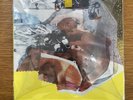 Wolf Eyes LIMITED EDITION 1/20 Lathe Record (Vinyl) (Noise, Experimental)