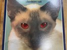 Blink-182 Cheshire Cat Analog Vinyl Lp From Japan Very GOOD