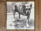 Alice In Chains: Alice In Chains vinyl LP NM 1995 Columbia C2 67248 Layne Staley