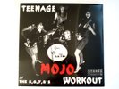 THE 5,6,7,8's TEENAGE MOJO WORKOUT LP JAPANESE GARAGE PUNK VINYL