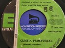 MANUEL GONZALEZ Cumbia Primaveral  ORGAN SYNTH CUMBIA ESTELAR  ECUADOR
