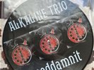 ALKALINE TRIO VINYL GODDAMNIT PICTURE DISC AM-034 RARE LIMITED