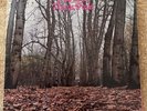 Twink - Think Pink - First Pressing (2343-032) - Includes Pink Inner Sheet