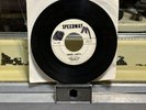 DON & THE CHEVELLS -INNER LIMITS(INST.)/(THE ONLY GIRL(VOCAL)/1964/VG+(RARE)