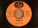 The Split Ends  Endless Sea/Rich With Nothin'  RARE  Florida Garage 1967 CFP