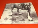 ALICE IN CHAINS | Self-Titled (Tripod) | RARE 1995 EU 2xLP BLACK Vinyl Gatefold
