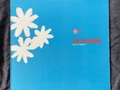 Dr. Octagon Blue Flowers 12