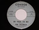 The Jhamels Be True To Me I'm Not Lying 45 Rpm Vinyl Record Condor Label 106 VG+