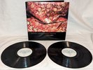 Raphael Saadiq INSTANT VINTAGE promo 2X LP gospel-delic FUNK gatefold 2002