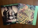 2 LPs Screaming Trees - Even If And Especially When and Invisible Lantern (used)