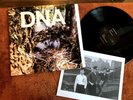 dna lp 2016 ep reissue a taste of 1980 w/insert sv099 art no wave avant garde