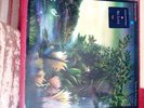 Fleetwood Mac Lp Tango In The Night Excellent ++ Condition Vinyl 1987 Pressing