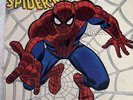 Vintage The Amazing Spider-Man A Rockomic Vinyl Record 1972 signed John Romita