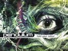 Hold Your Colour (Ltd 180g Vinyl 3lp Edition 2018) [Vinyl LP], Pendulum