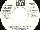 Jamal Trice - If Love Is Not The Answer (7