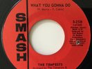 TEMPESTS - WHAT YOU GONNA DO - SMASH 2126. VG++