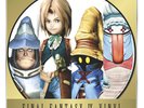 FINAL FANTASY IX Vinyl Record Soundtrack 2 LP Double Picture Disc FF 9 VGM OST