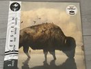 Silverstein – THIS IS HOW THE WIND SHIFTS - 10TH ANNIV Green Gold Splatter Vinyl