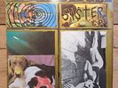 Sonic Youth - Sister  Vinyl LP   Blast First  1987