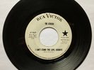 THE OTHERS I Can't Stand This Love, Goodbye  1965 KILLER GARAGE 45