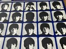 The Beatles - A Hard Days Night Vinyl 12