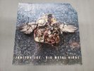 JANITOR JOE Big Metal Birds AMPHETAMINE REPTILE 1993 VG+ VINYL LP Record USED