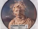 The Offspring - Splinter (RSD2024) LP Picture Vinyl