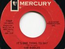 THE RIDDLES*IT'S ONE THING TO SAY*GARAGE BEAT*MOD DANCER*LISTEN
