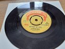 Little Roy , Without My Love , Winston Samuels , Here I Come Again , 7 