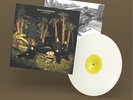 Echo & the Bunnymen Evergreen (Vinyl)