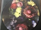 COLD CAVE picture disc FATE IN SEVEN LESSONS 2021 rare vinyl record LP goth