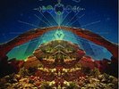 CRB [Chris Robinson Brotherhood] - Big Moon Ritual  (Double Vinyl, 2012, SAR)