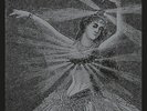 Neutral Milk Hotel Vinyl Box Set - Neutral Milk Hotel - Record Album, Vinyl LP