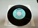 The Fugitives - I'll Hang Around / You Can't Blame That On Me  FENTON 2075 RARE