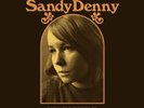 SANDY DENNY - The Early Home Recordings (2023) NEW DOUBLE BROWN VINYl LP. Sealed