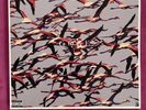 Deftones - Gore Colored Vinyl Lp Album